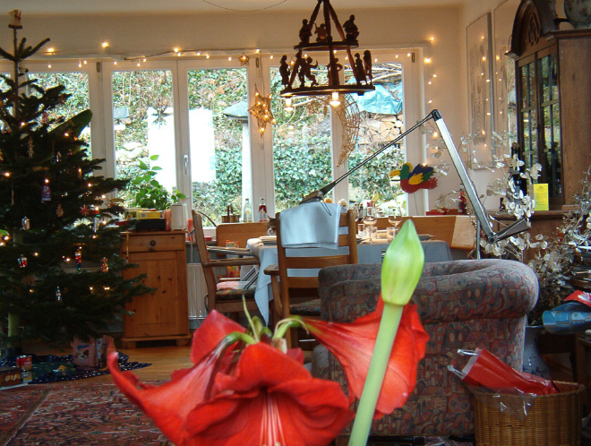 5 تست تصویری  جالب برای تقویت چشم و مغز: گربه ها را پیدا کنید