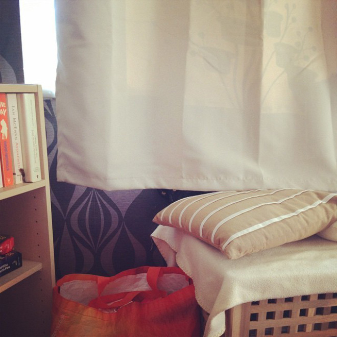 5 تست تصویری  جالب برای تقویت چشم و مغز: گربه ها را پیدا کنید