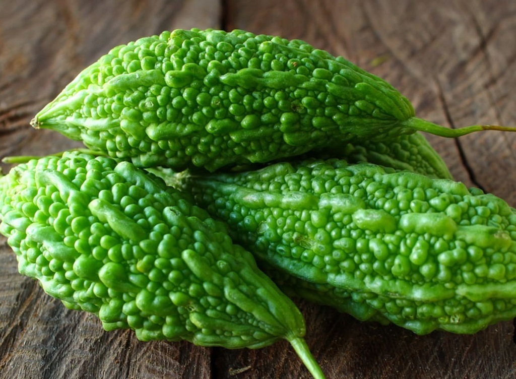 همه چیز درباره “خیار تلخ”؛ یک میوه شگفت انگیز!