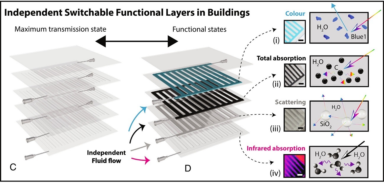 پنجره مایع با الهام از پوست ماهی مرکب می تواند به ساختمان ها در صرفه جویی انرژی کمک کند
