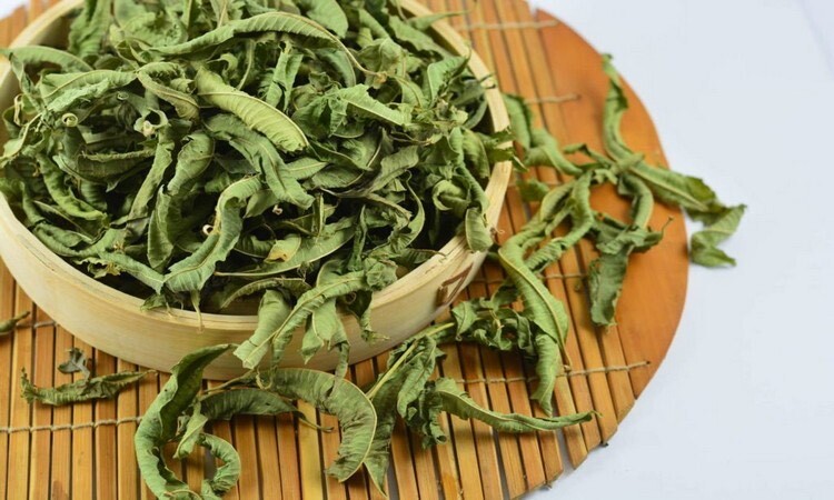 به لیمو؛ همه چیز درباره یک گیاه فوق العاده (+عکس)