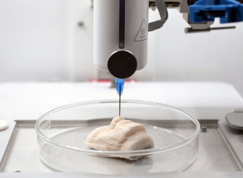 باکتری چاپ سه بعدی