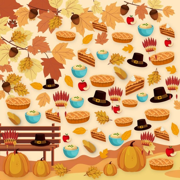 آیا می توانید بوقلمون پنهان شده را پیدا کنید؟ (تصویر)