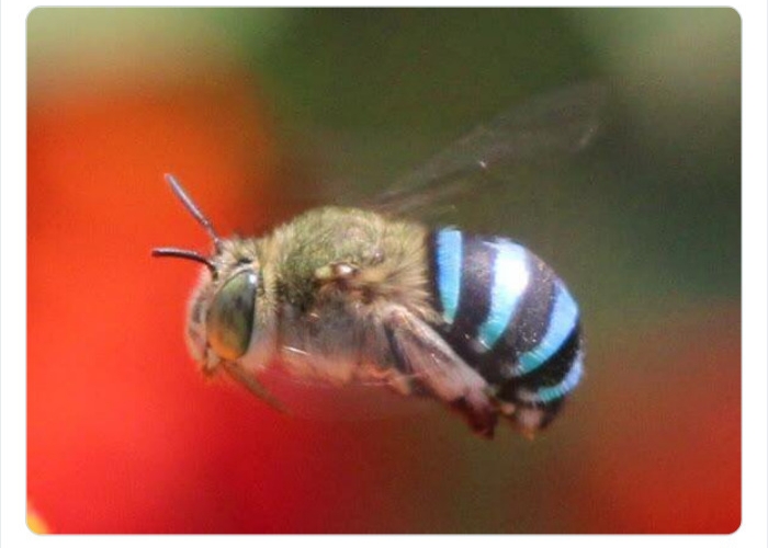 به باغ‌وحش حیوانات عجیب خوش آمدید