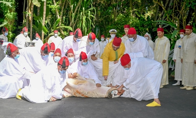 پادشاه مراکش: به عنوان امیرالمومنین، حرام خدا را حلال نمی کنم پادشاه مراکش: به عنوان امیرالمومنین، حرام خدا را حلال نمی کنم