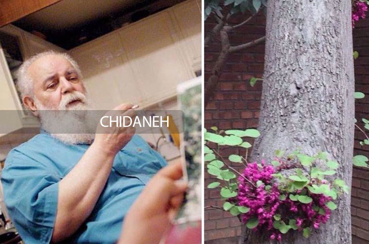 معروفترین درخت تهران کجاست؟ معروفترین درخت تهران کجاست؟