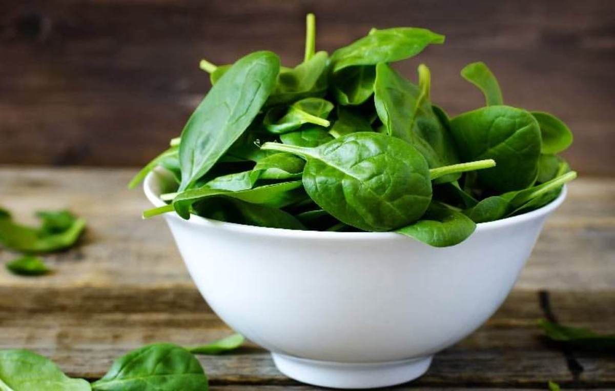 روش نگهداری اسفناج هم در یخچال و هم فریزر