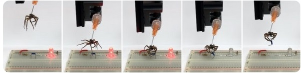 پژوهشگران با تزریق هوا به عنکبوت مرده، ربات زامبی چنگک‌دار ساختند