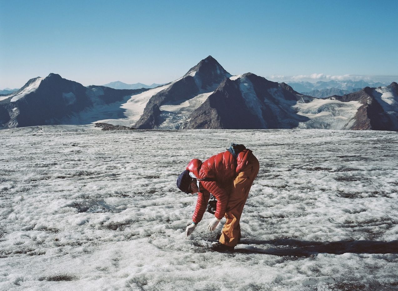 بزکوهی 500 ساله از یخچال کوه‌های آلپ سر درآورد (+عکس)
