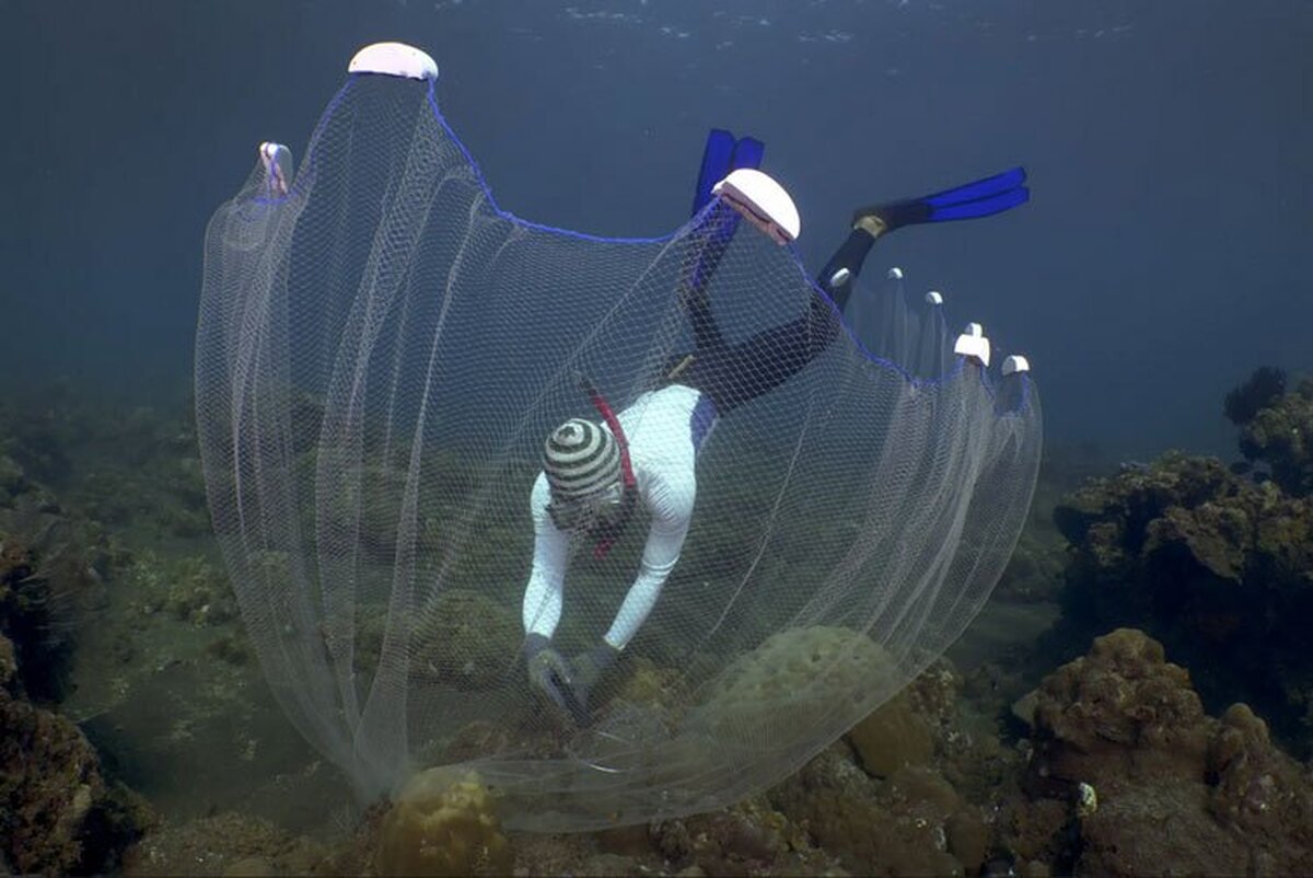 دیدنی های امروز؛ اعتراضات سراسری در چهارگوشه جهان