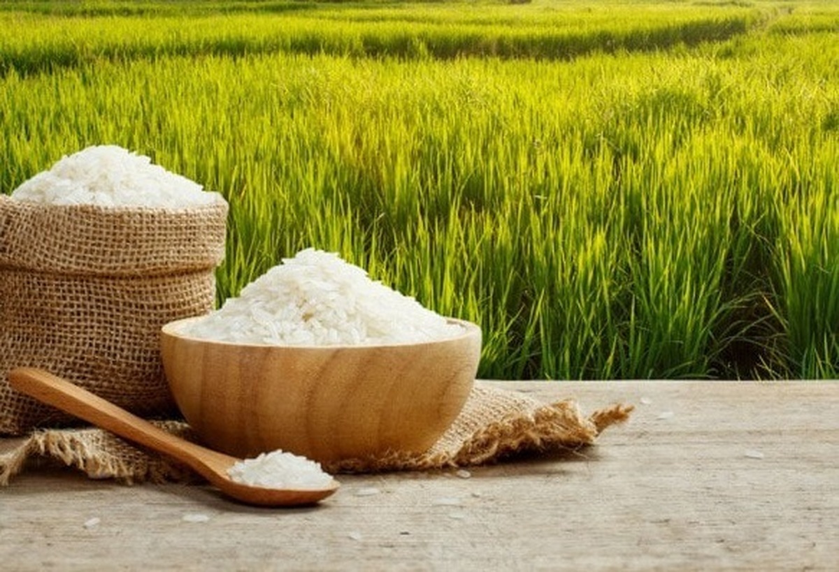 8 غذای خوشمزه که با برنج قابل سرو هستند