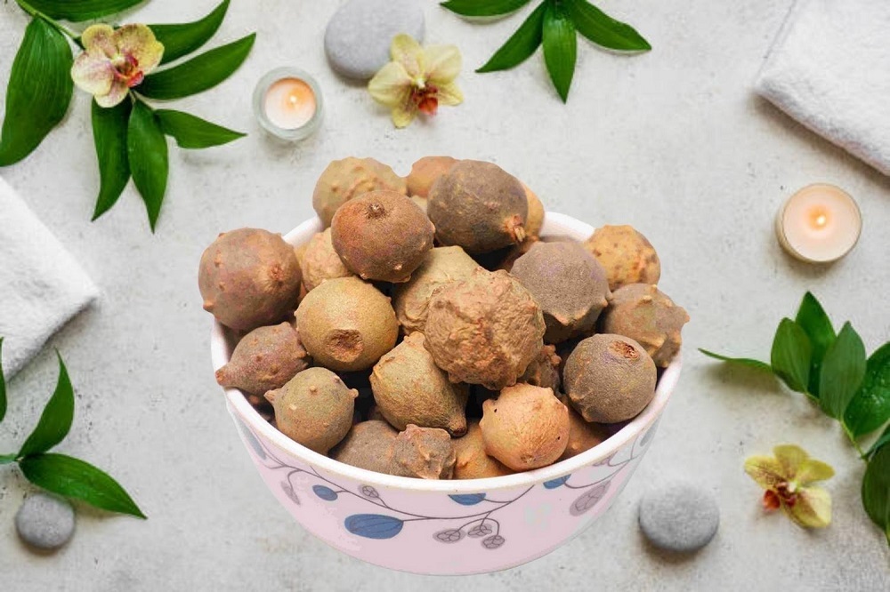 هرآنچه باید در مورد گیاه خارق العاده “دارمازو” بدانیم