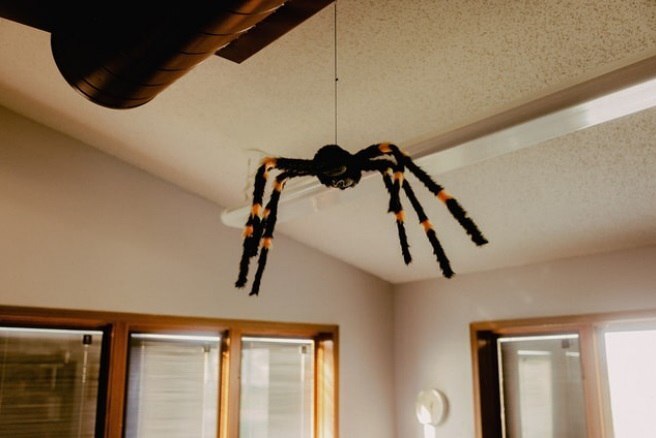 مخترعی که عاشق هوش مصنوعی خود شد