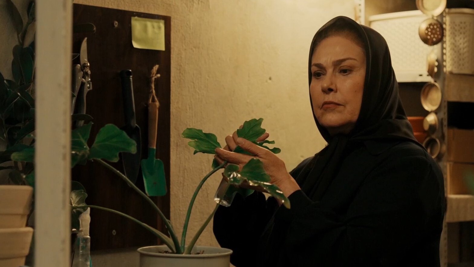 مهرانه مهین ترابی سریال مترجم ؛ آقای توکلی کاش یک مشاور داشتید، به همین سادگی ...