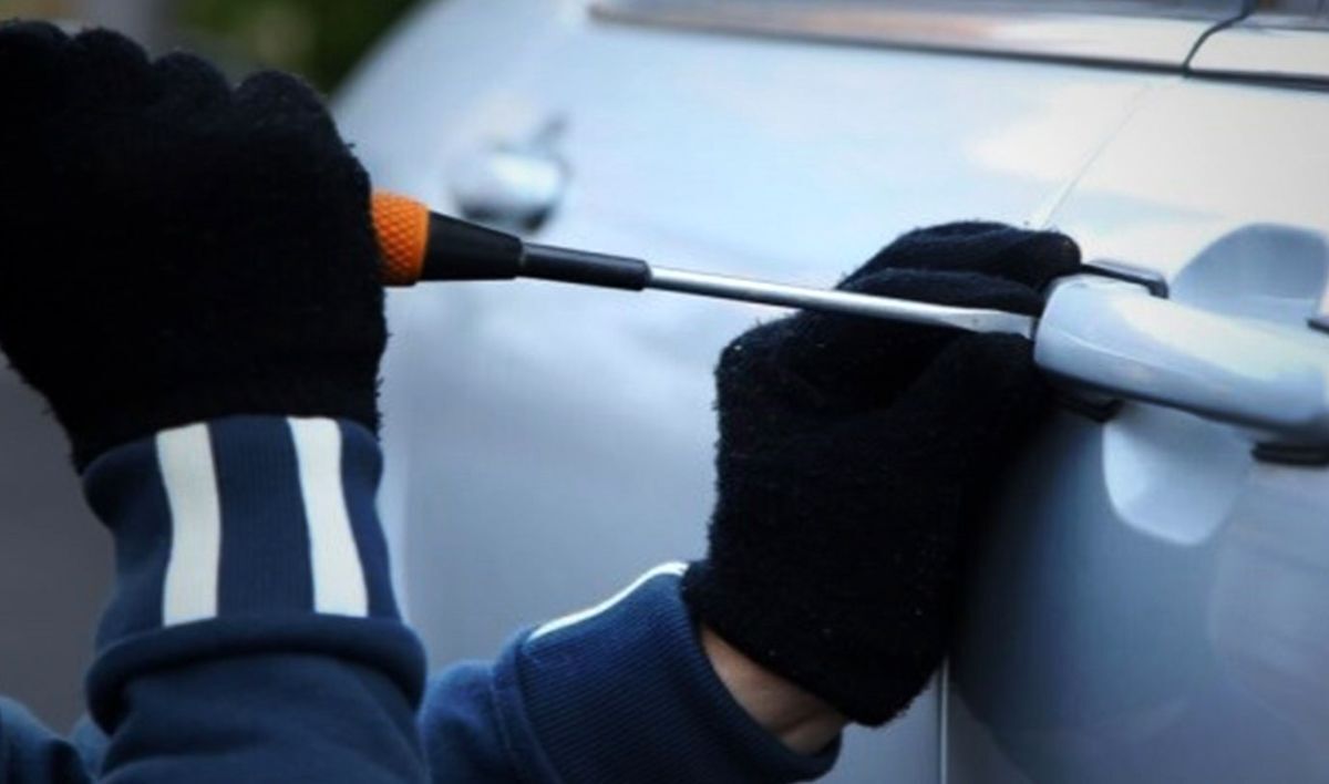 ببینید | طرح جدید پلیس برای برخورد با سارقان