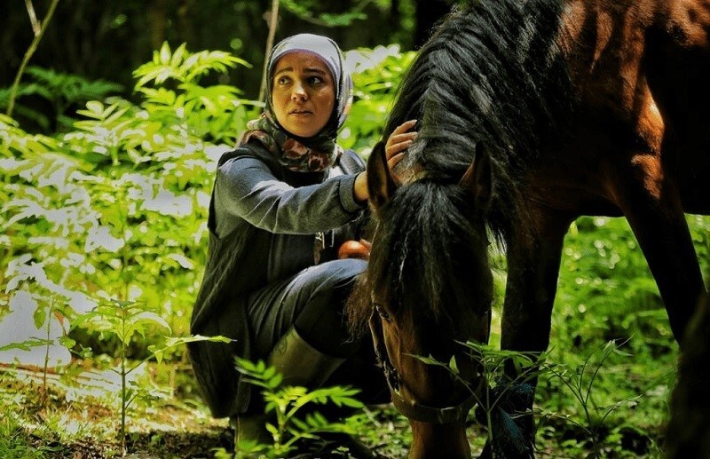 معرفی 5 سریال معروف ایرانی که داستانشان از شمال می‌گذرد؟