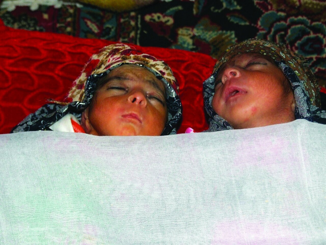 من، ۱۷ ساله، ۴ قلو دارم